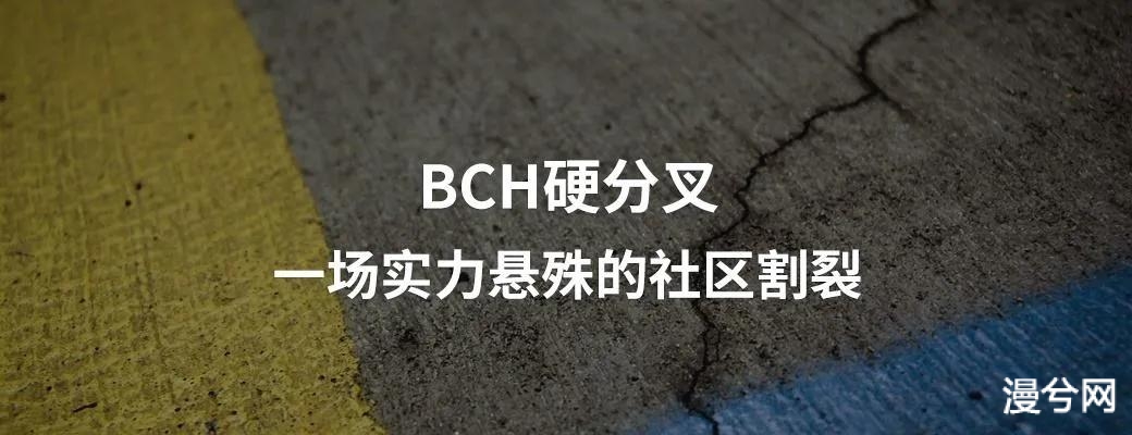 BCH再分叉就废了